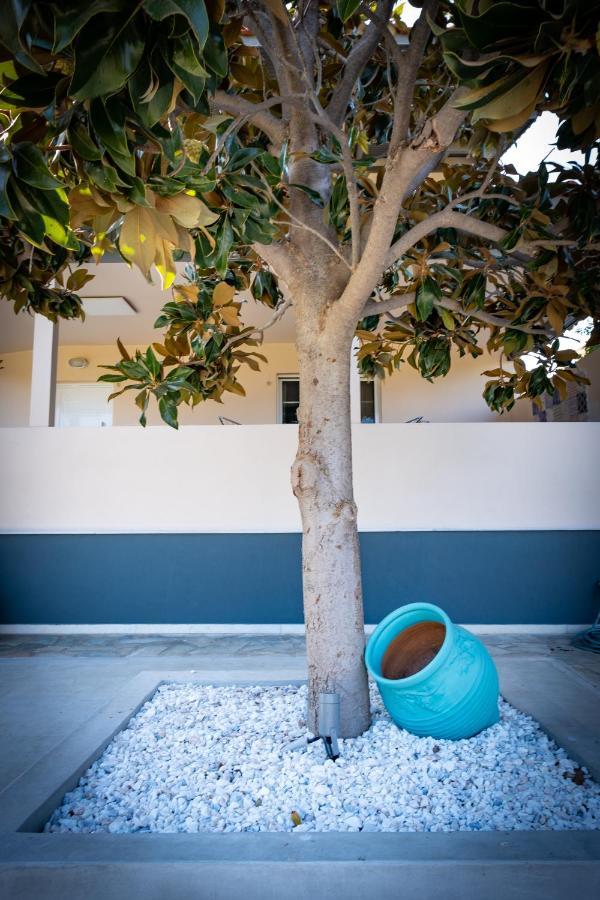 ארטמידה Green House Ariadni מראה חיצוני תמונה